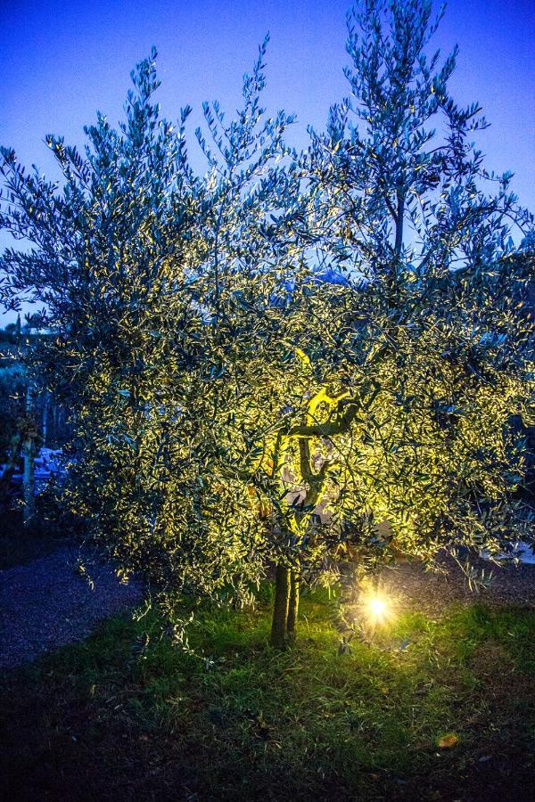 Agriturismo I Roseti Montepulciano Stazione Eksteriør bilde