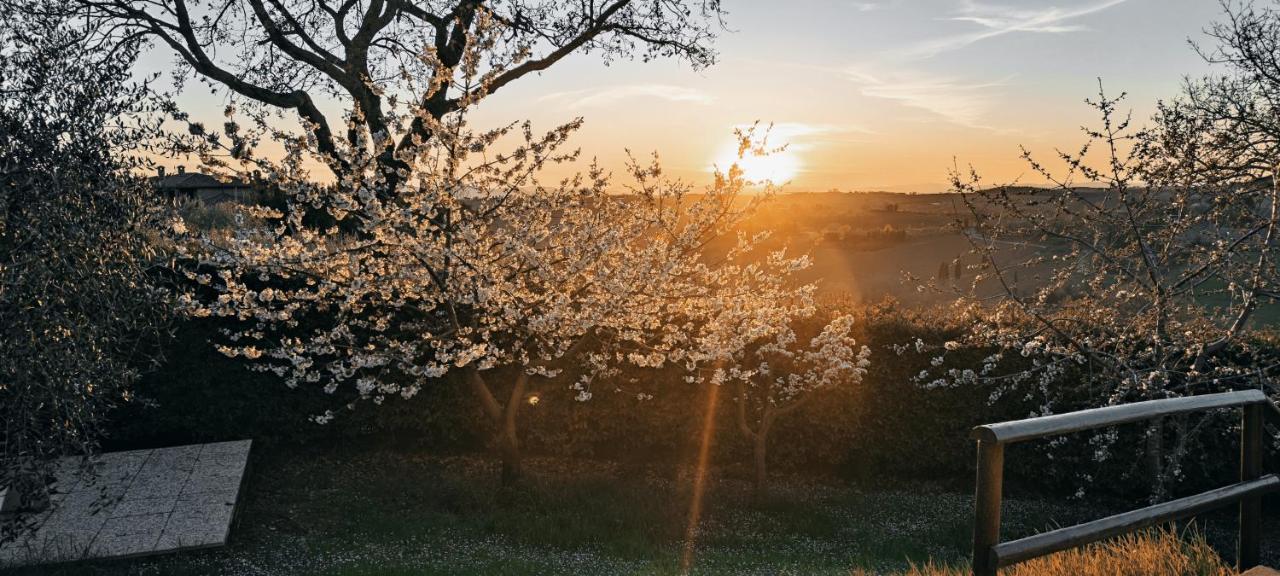 Agriturismo I Roseti Montepulciano Stazione Eksteriør bilde