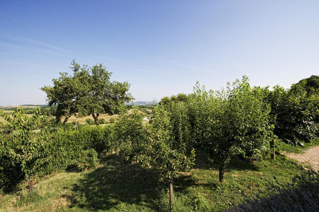 Agriturismo I Roseti Montepulciano Stazione Rom bilde