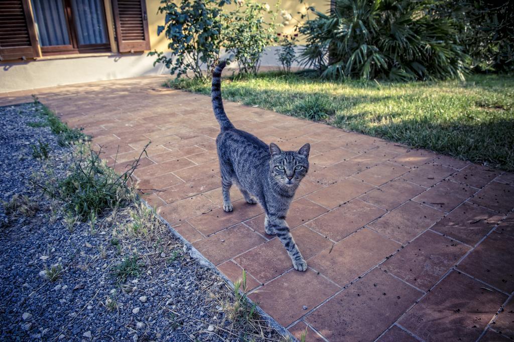 Agriturismo I Roseti Montepulciano Stazione Eksteriør bilde