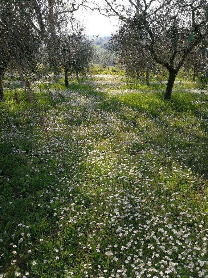 Agriturismo I Roseti Montepulciano Stazione Eksteriør bilde