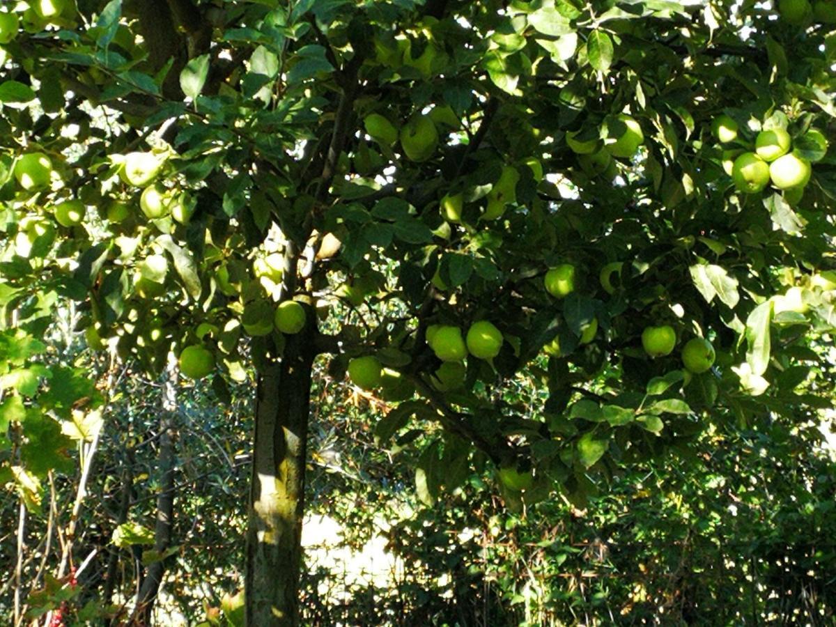 Agriturismo I Roseti Montepulciano Stazione Eksteriør bilde